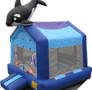 Sea World Bounce House Sea World Bounce House