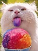 Snow Cones Snow Cones